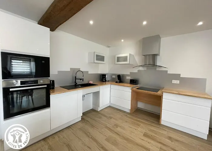 Ferienhaus De Charme En Vendee Avec Et Sauna - Fr-1-426-558